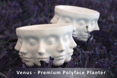 Polyface Planter | Drainage Holes | Multifaced Flower Pot | Beautiful Succulent Planter | Lady Face Sculpture | Unique Vase | Pen and Pencil