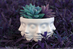 Polyface Planter | Drainage Holes | Multifaced Flower Pot | Beautiful Succulent Planter | Lady Face Sculpture | Unique Vase | Pen and Pencil