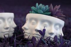 Polyface Planter | Drainage Holes | Multifaced Flower Pot | Beautiful Succulent Planter | Lady Face Sculpture | Unique Vase | Pen and Pencil